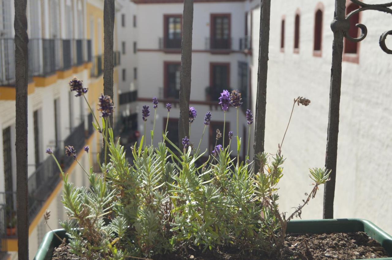 Isg Apartments Precioso Atico Con Terraza Privada En El Centro 塞维利亚 外观 照片
